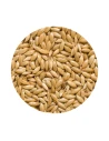 Semilla de la salud JARAD ACTIVE para todo tipo de aves 700 gr.